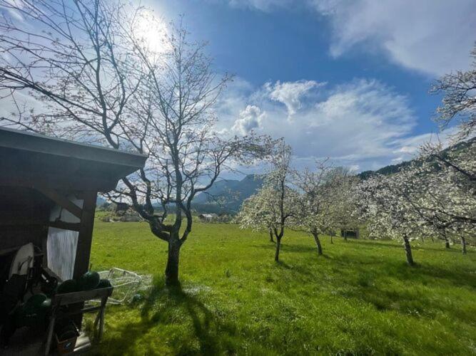Holiday Home, Soell Exteriér fotografie